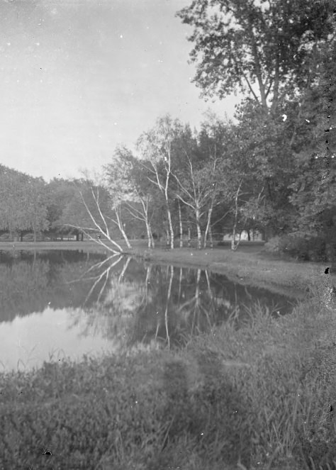 Trees Reflected onto Water in a Park, 1903