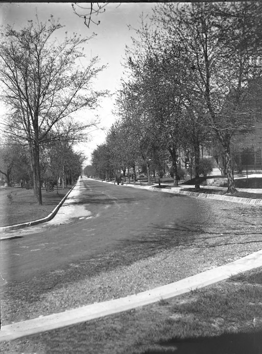 Down the Length of a Residential Street, 1903