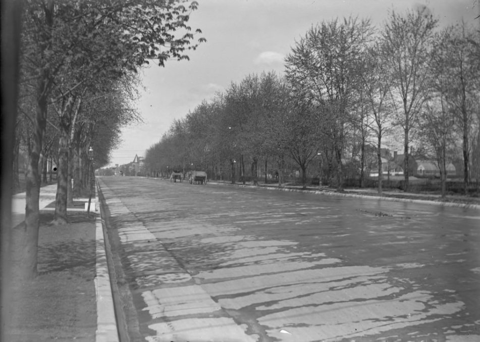 Horse-Drawn Carts Going Down a Boulevard, 1903