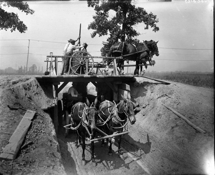 A couple of two-hitch horse wagons, 1901