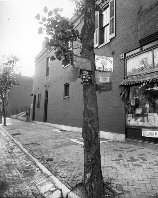 Tree along South 11th Street with signs attached to it, 1904