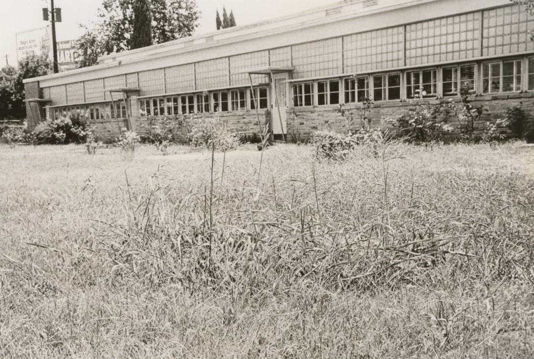 An Elementary School in Austin, 1973