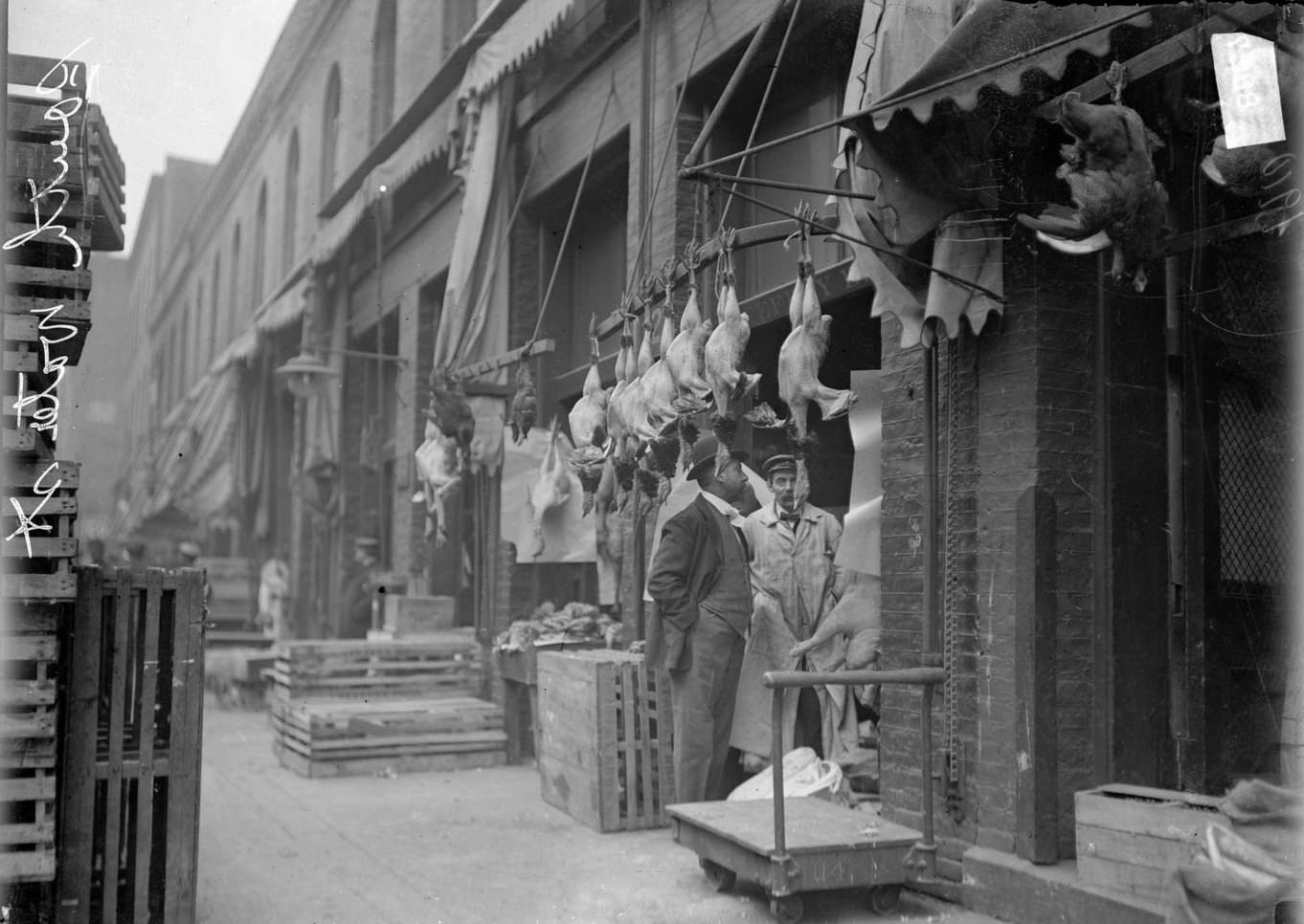 Chickens hanging by the feet from a rack over a door at the South Water Street Market, Chicago, Illinois, 1910s.