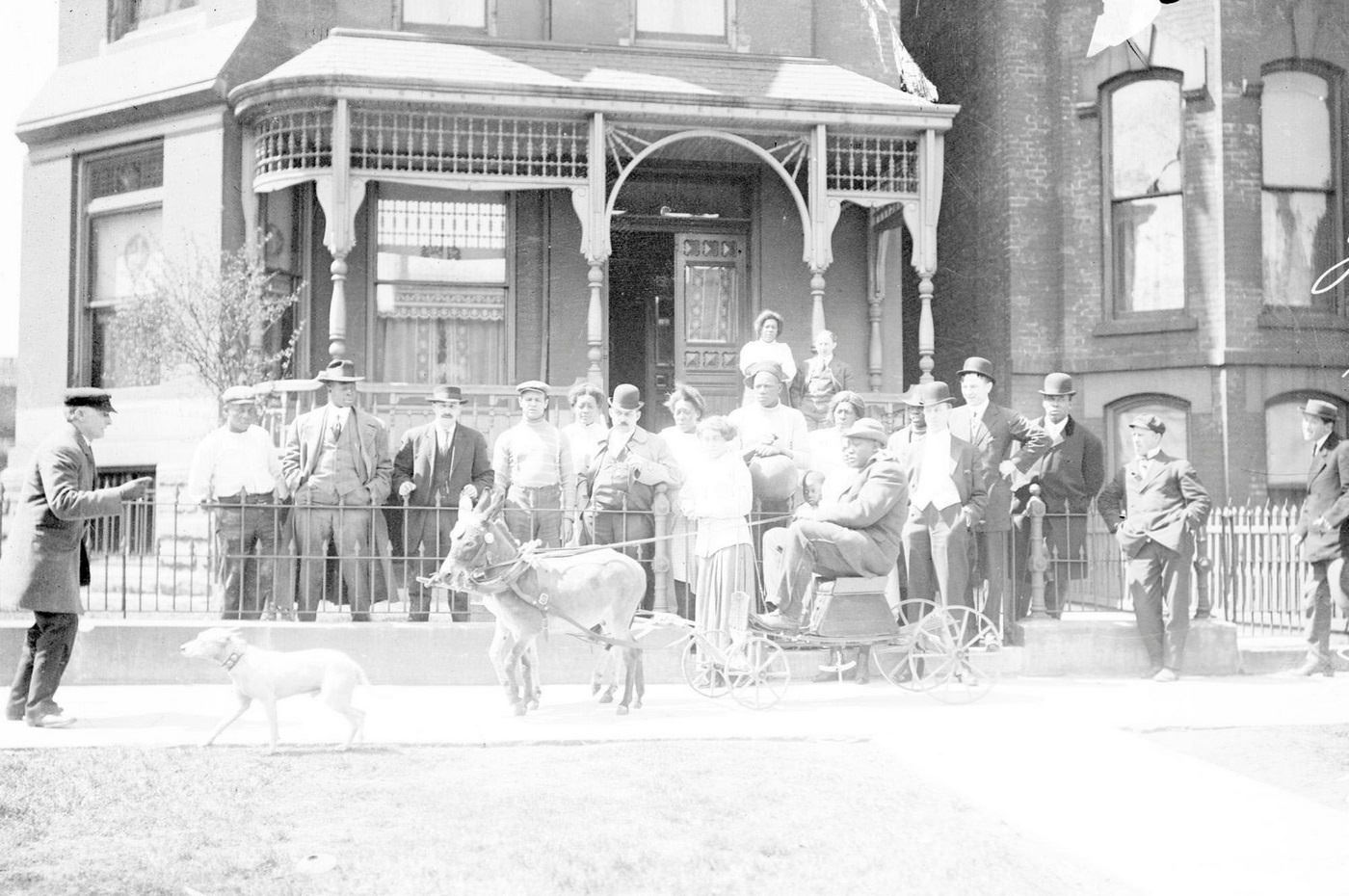 Boxer Jack Johnson driving a small wagon pulled by two small donkeys on the sidewalk in front of a house in Chicago, 1910.
