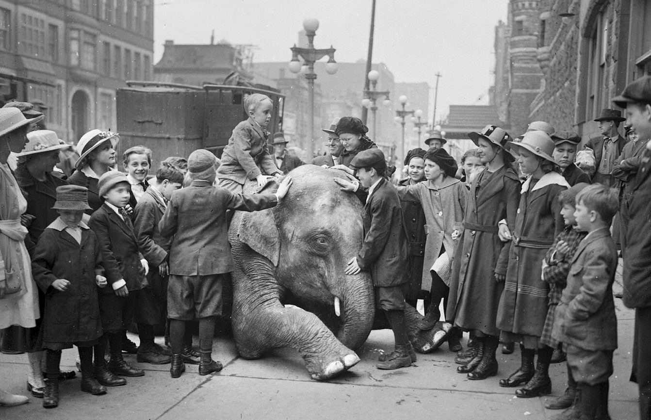 Blind children standing on a sidewalk, one is sitting on the back of a kneeling elephant from the Ringling Brothers Circus, Chicago, Illinois, April 20, 1917.