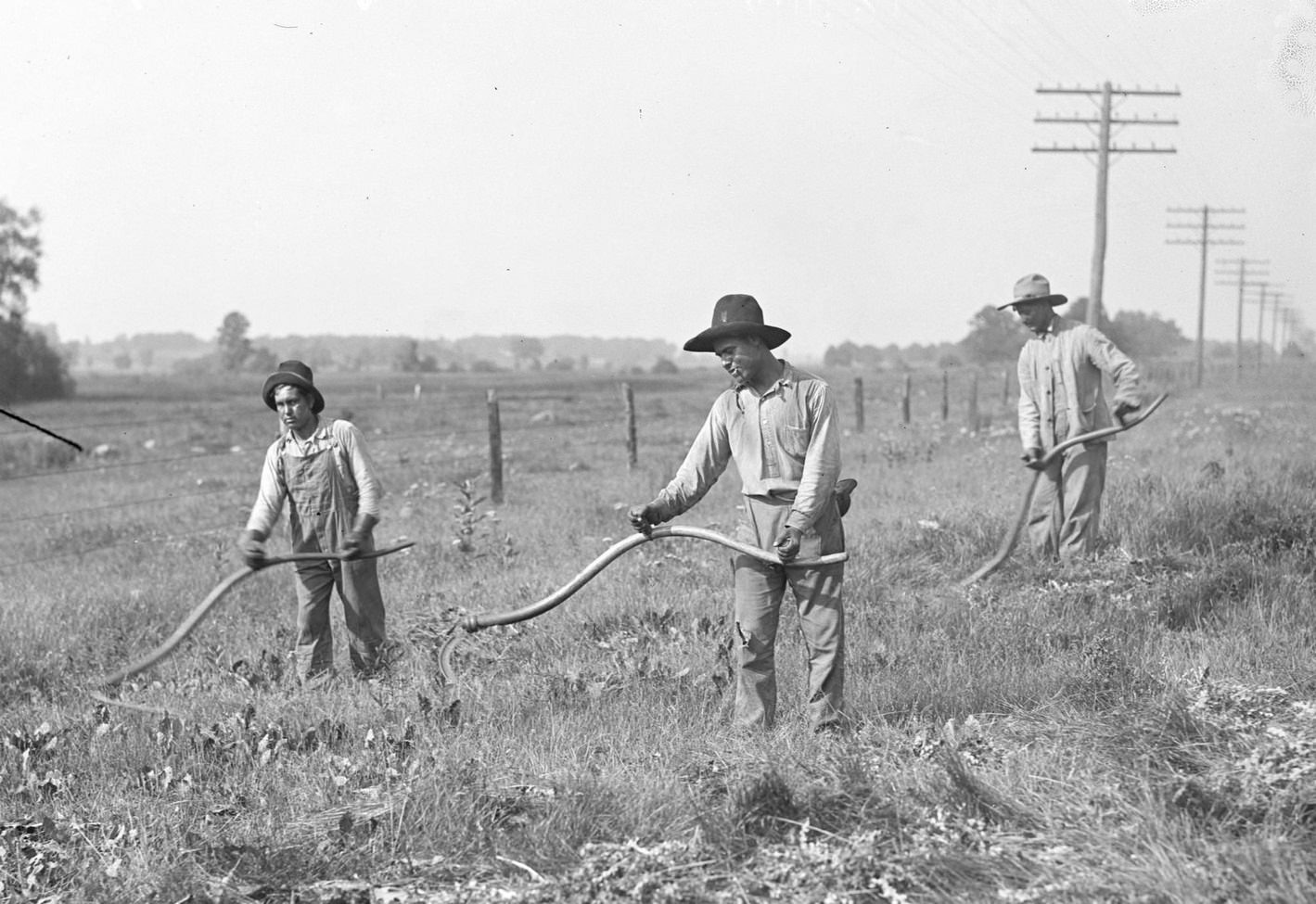 Mexican immigrants working with sickles to cut weeds along the side of a road, Chicago, Illinois, 1917.