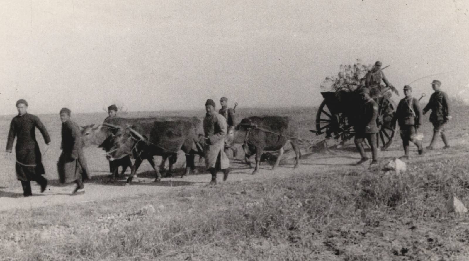 The 124th Division of the 22nd Group Army captured a Japanese field gun and brought it down from the mountains by hitching oxen to it. 1937-1940