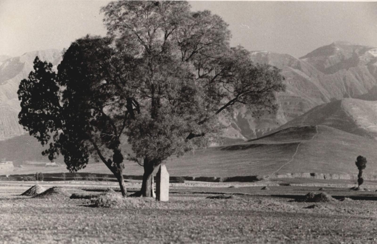 The first hill in the background with a long path leading up the ridge is the tomb of Ch'in Shin Huang Ti (Qin Shi Huang Di, 255 B.C.) whom the Chinese call the great tyrant.