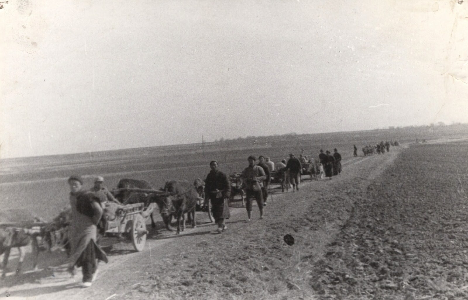 The wounded were often transported on lumbering, jolting ox-carts from the Central and North China fronts, to the Han River in the rear. 1937-1940