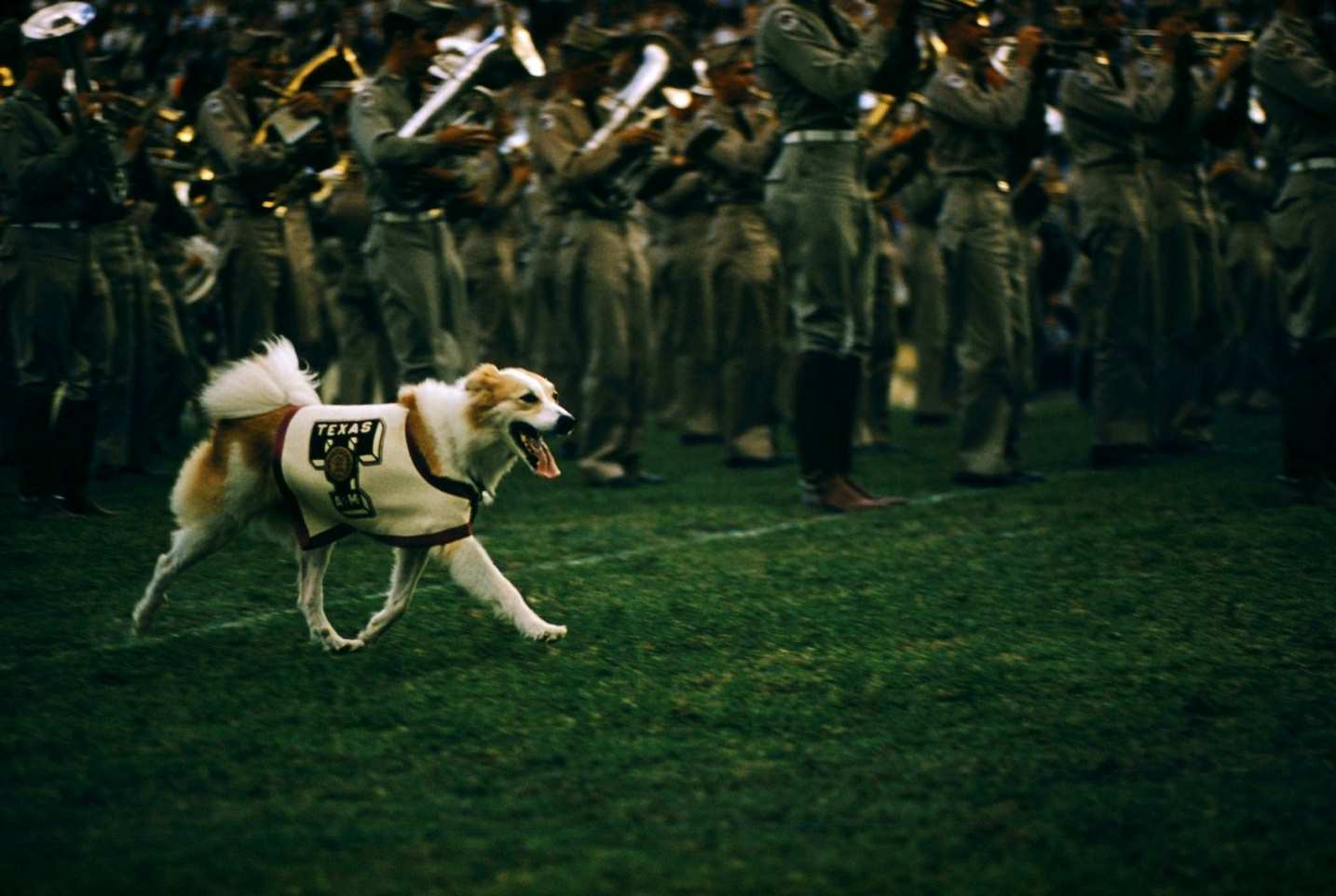 Maryland Terrapins v Texas A&M Aggies, 1957