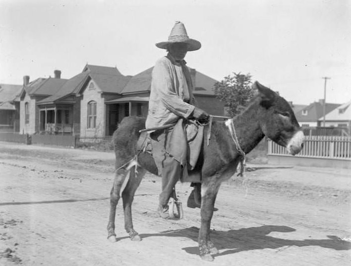 Man on burro, El Paso, 1907