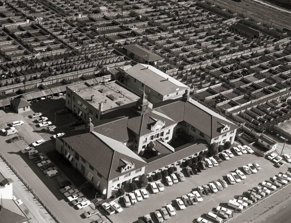 Fort worth stockyard, November 1967, Fort Worth.