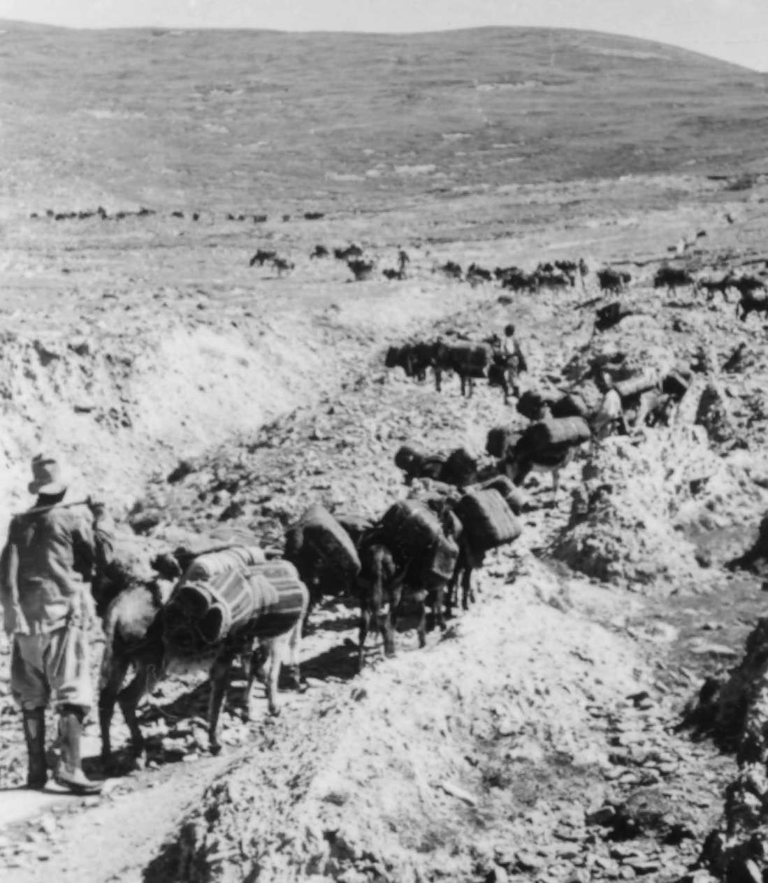 A Caravan Crossing the Nyapso-la, 1944. A caravan crossing the Nyapso-la (pass) on route to China (Central Tibet).