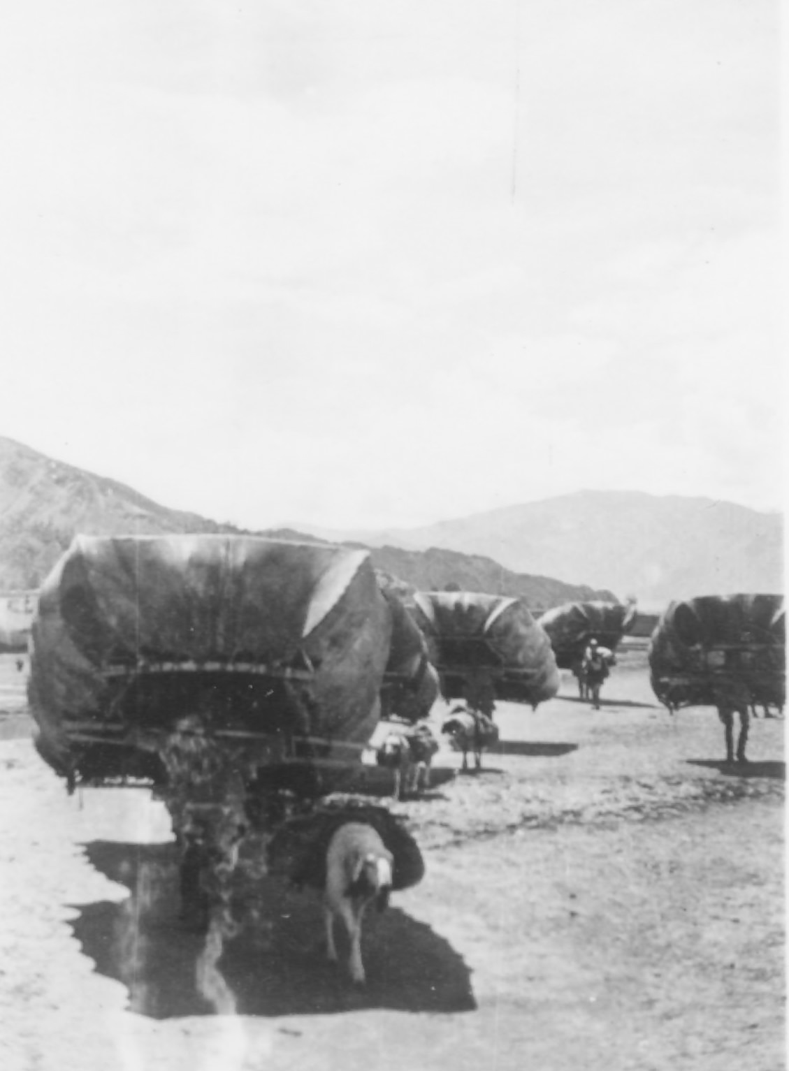 Yak-Skin Boats, 1944. Yak-skin boats being carried up river by the boatmen. They look like huge, two legged beetles.