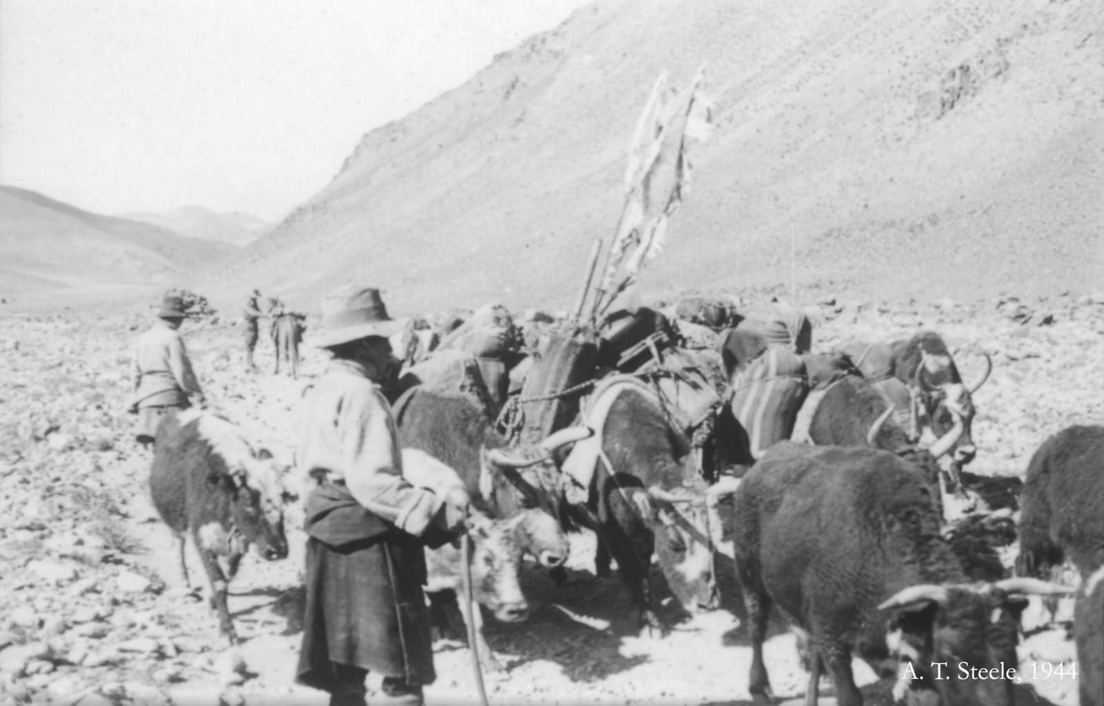 Yak Caravans, 1944