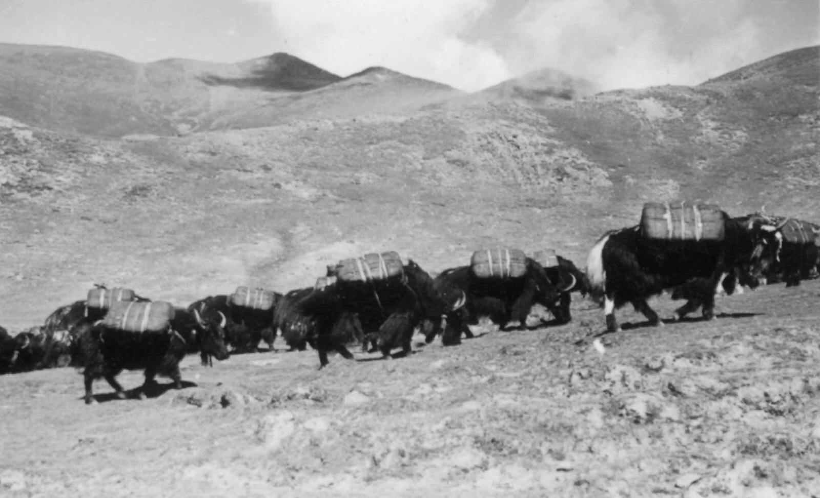 Yak Caravans, 1944