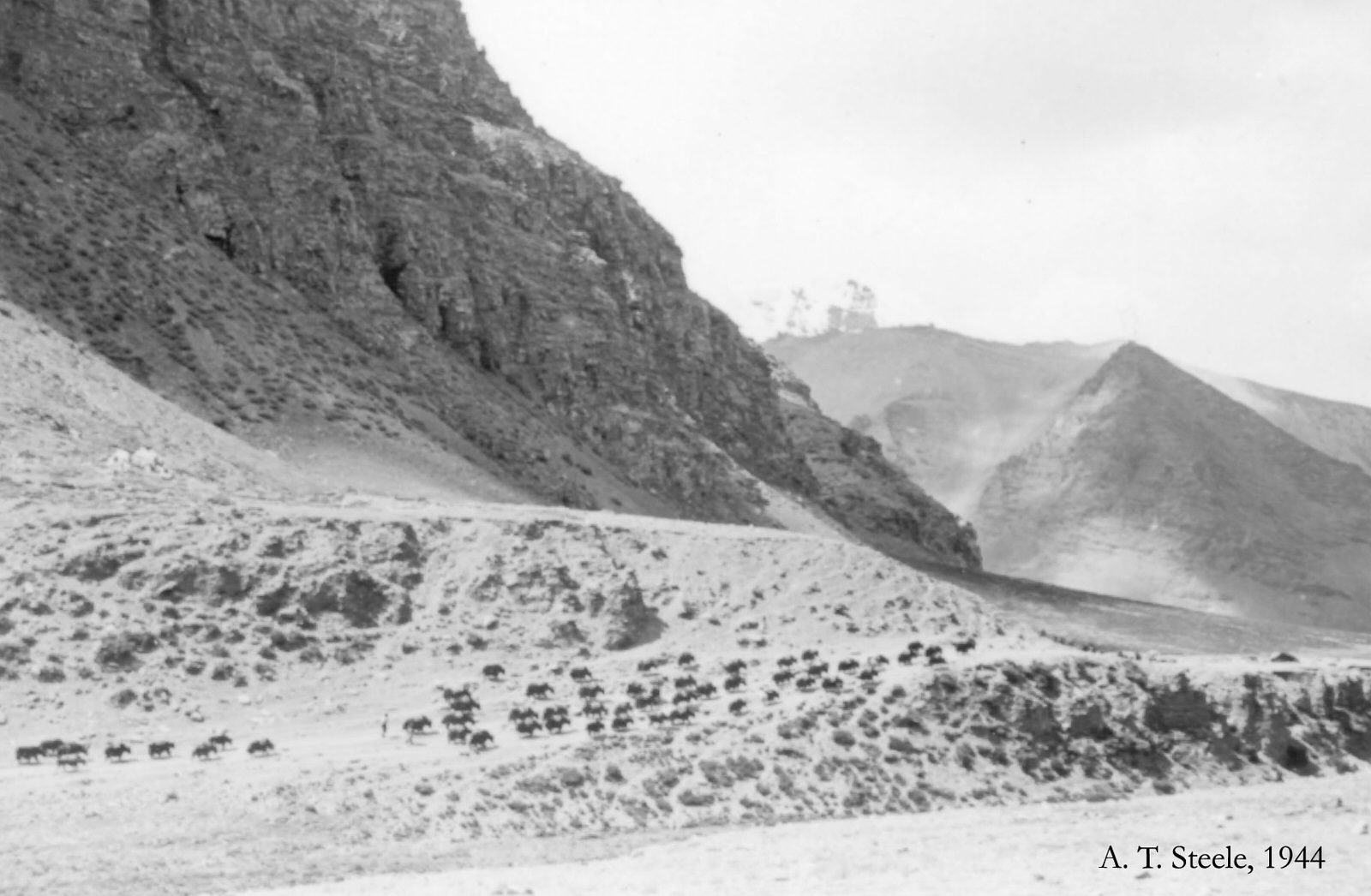 Yak Caravans, 1944