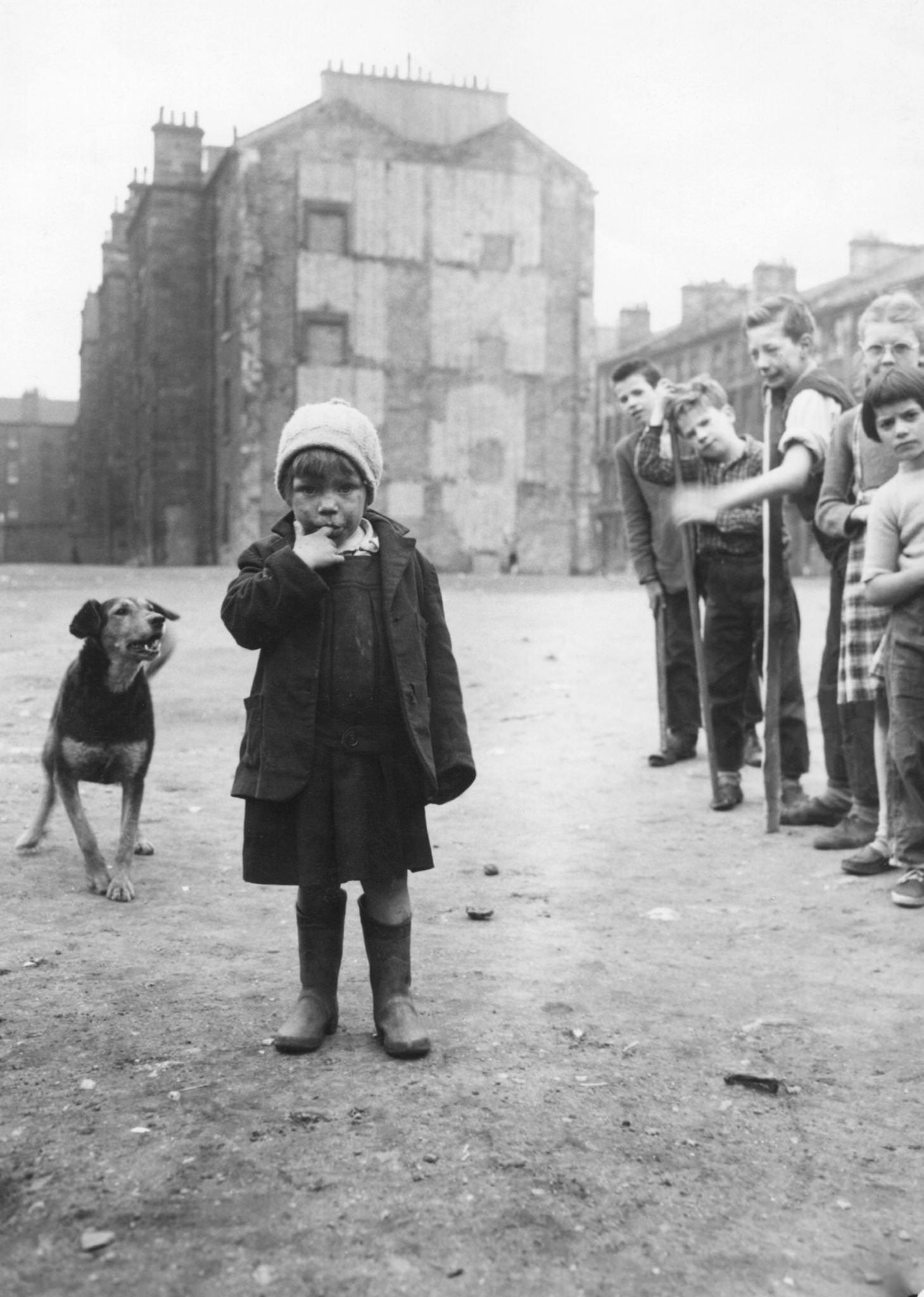 A dog barks at a girl in the Surrey Lane area of the Gorbals, Glasgow, 1956