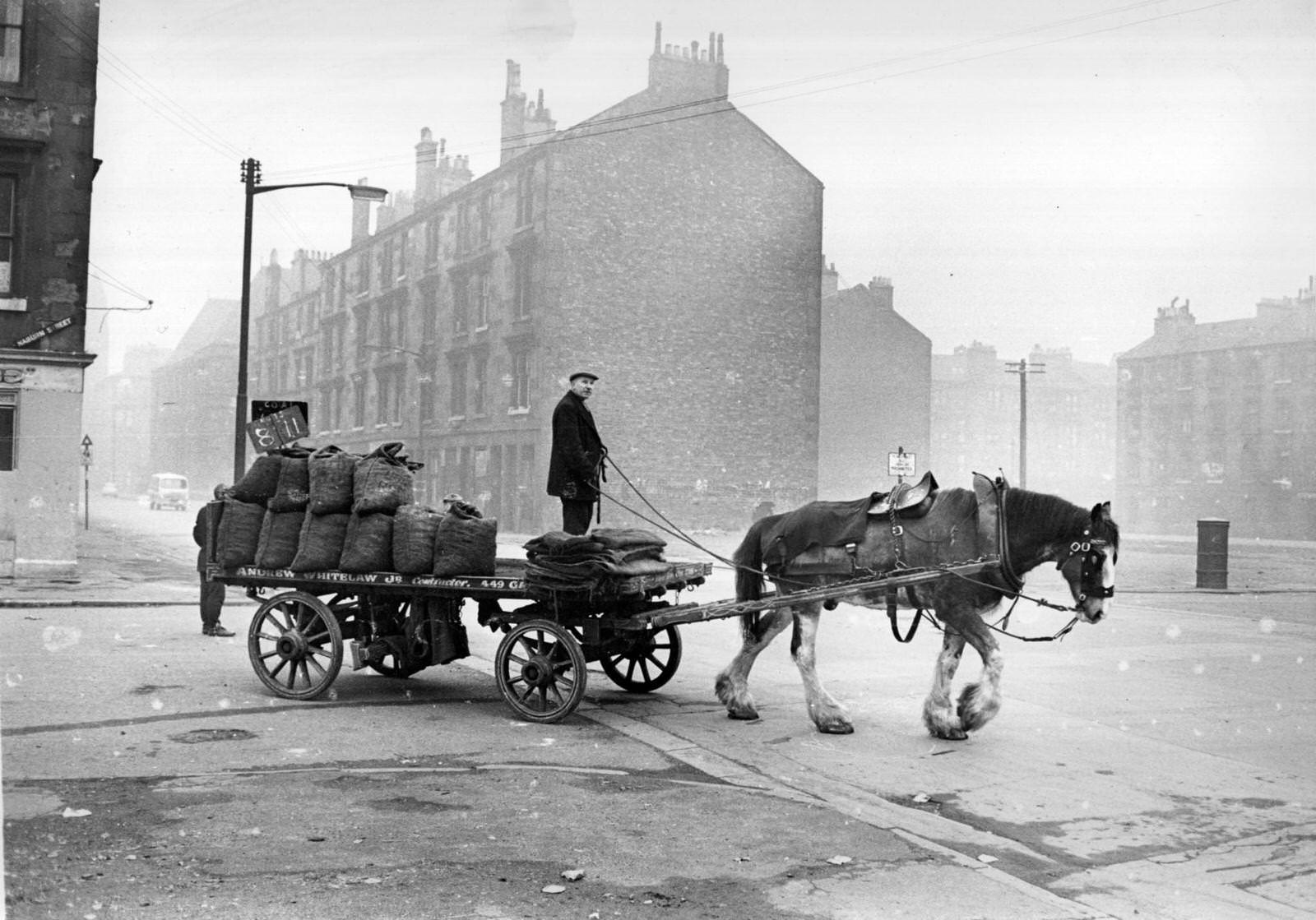 A coalman doing his rounds in his horse-drawn cart in the Gorbals area of Glasgow, 1960