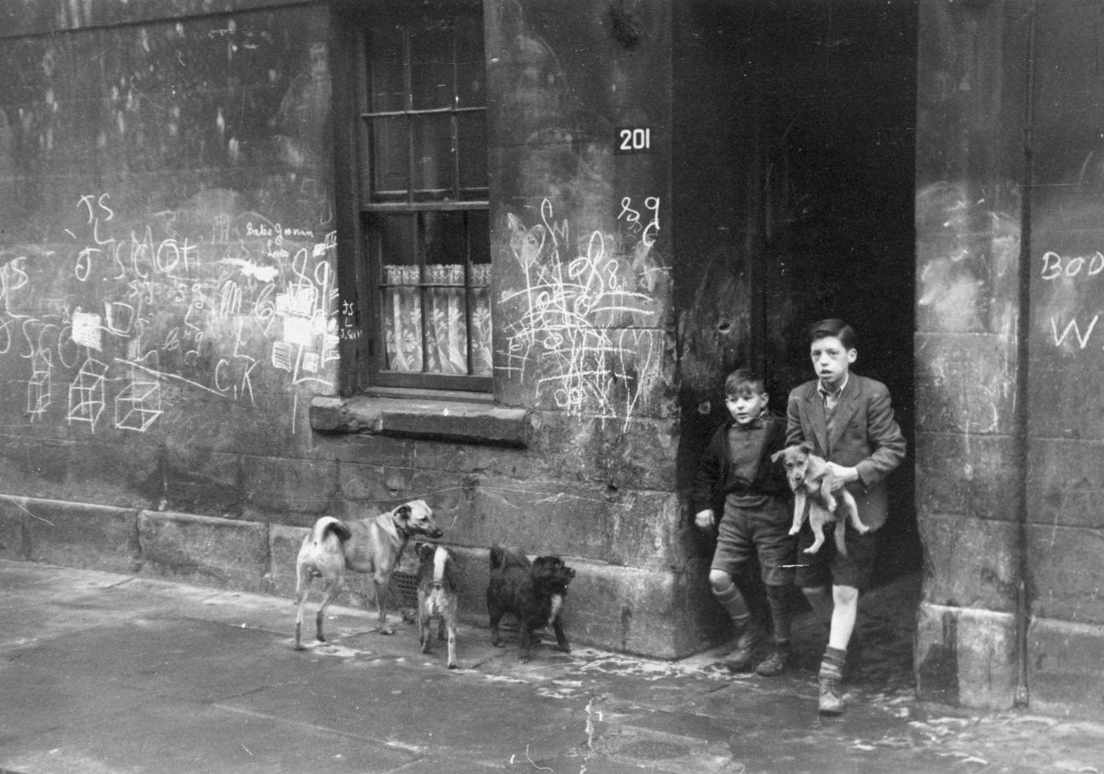 Two boys with their dogs in the Gorbals, a slum area of Glasgow with unkempt streets and graffiti covered walls, 1948