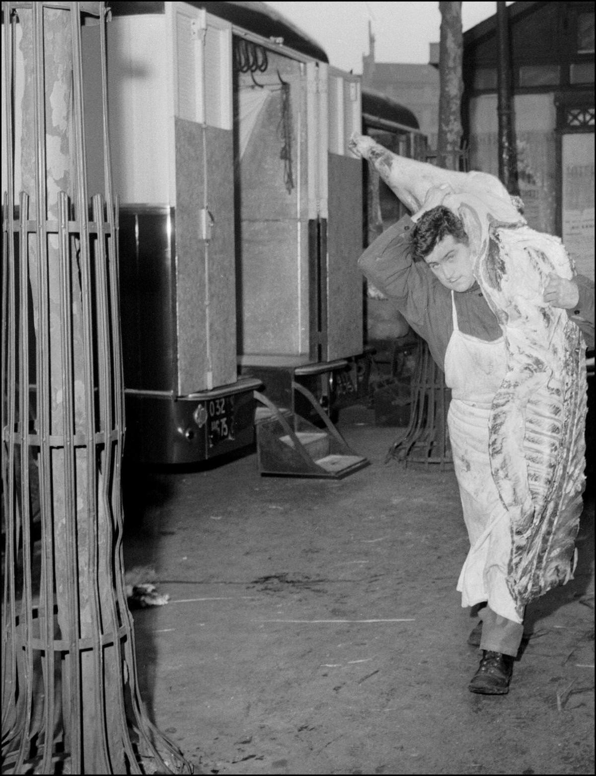 An employee working for a butcher's at the market of the Halles in Paris, carries in 1950s a part of beef.