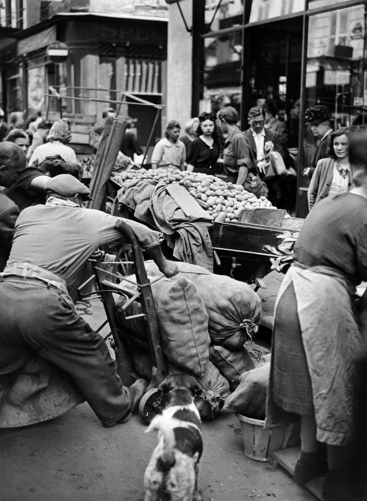 A man carries bags of potatoes in August 1946 in a busy street of Les Halles district in Paris at the resumption of the activity in the Halles