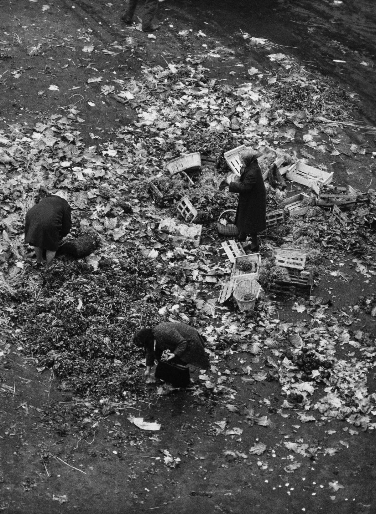 The Poor Collecting Remains, Les Halles, 1960s