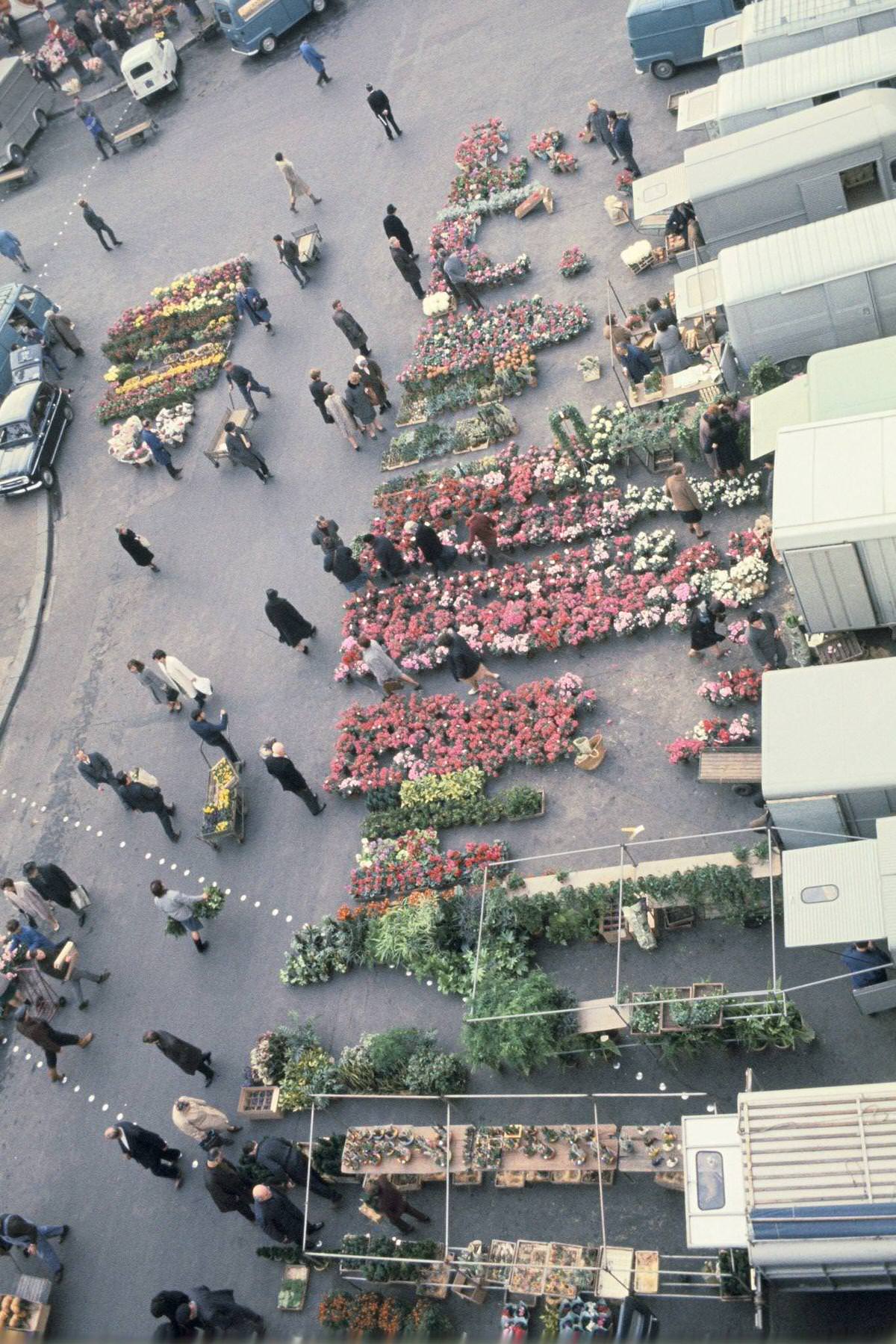 Flower Market pf Les Halles, 1960,