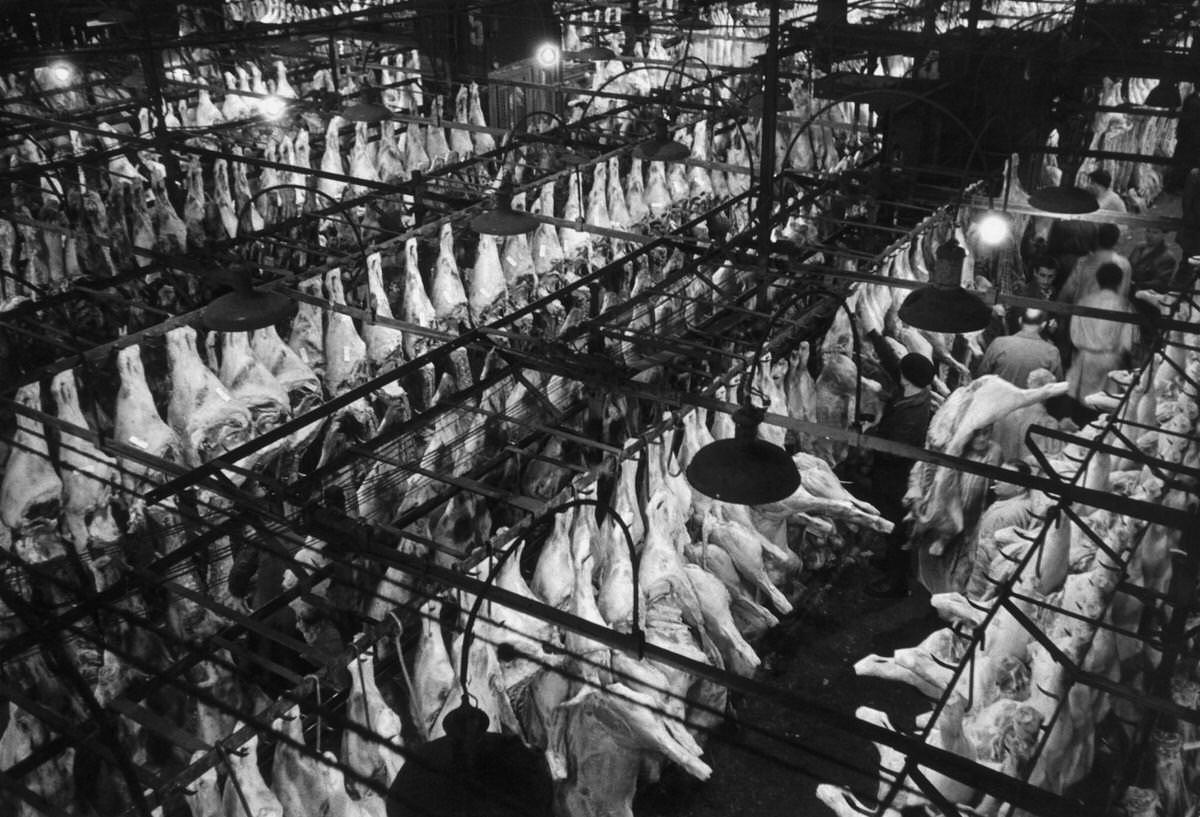 The Meat Unit of Les Halles, 1955