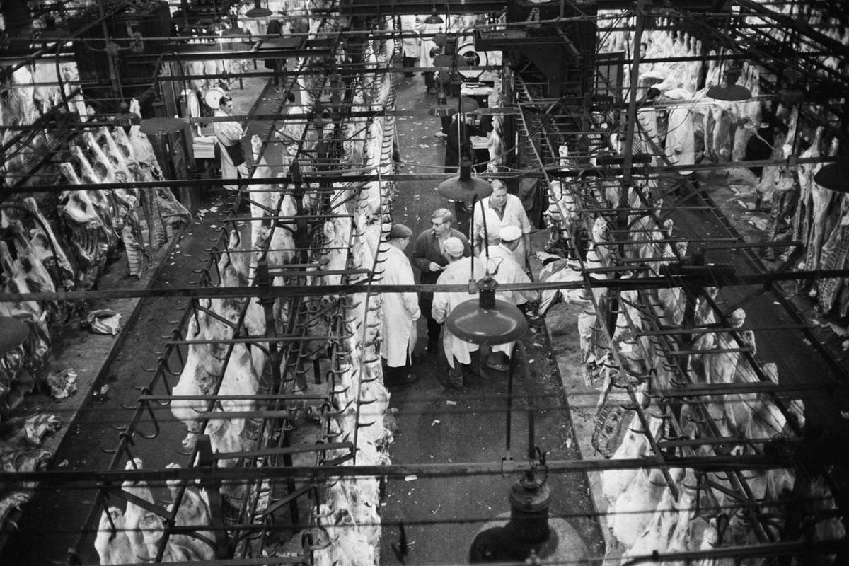 Les Halles of Paris, 1950s