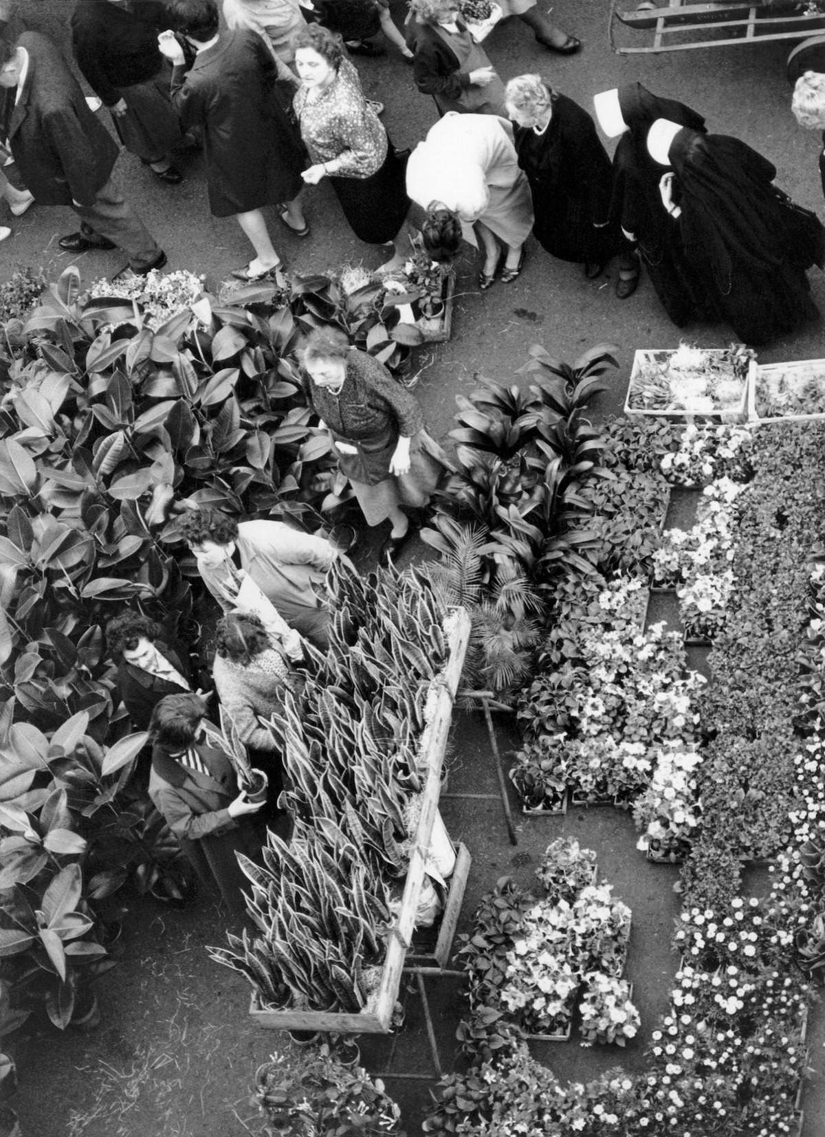 Flowers in Les Halles, which was historically the traditional central market of Paris, on October, 1964 in Paris