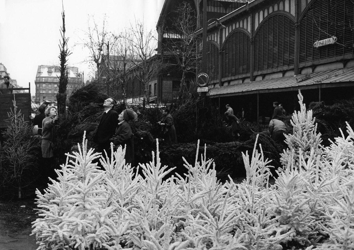 White Christmas trees at flowers hall in Les Halles, which was historically the traditional central market of Paris, in 1967