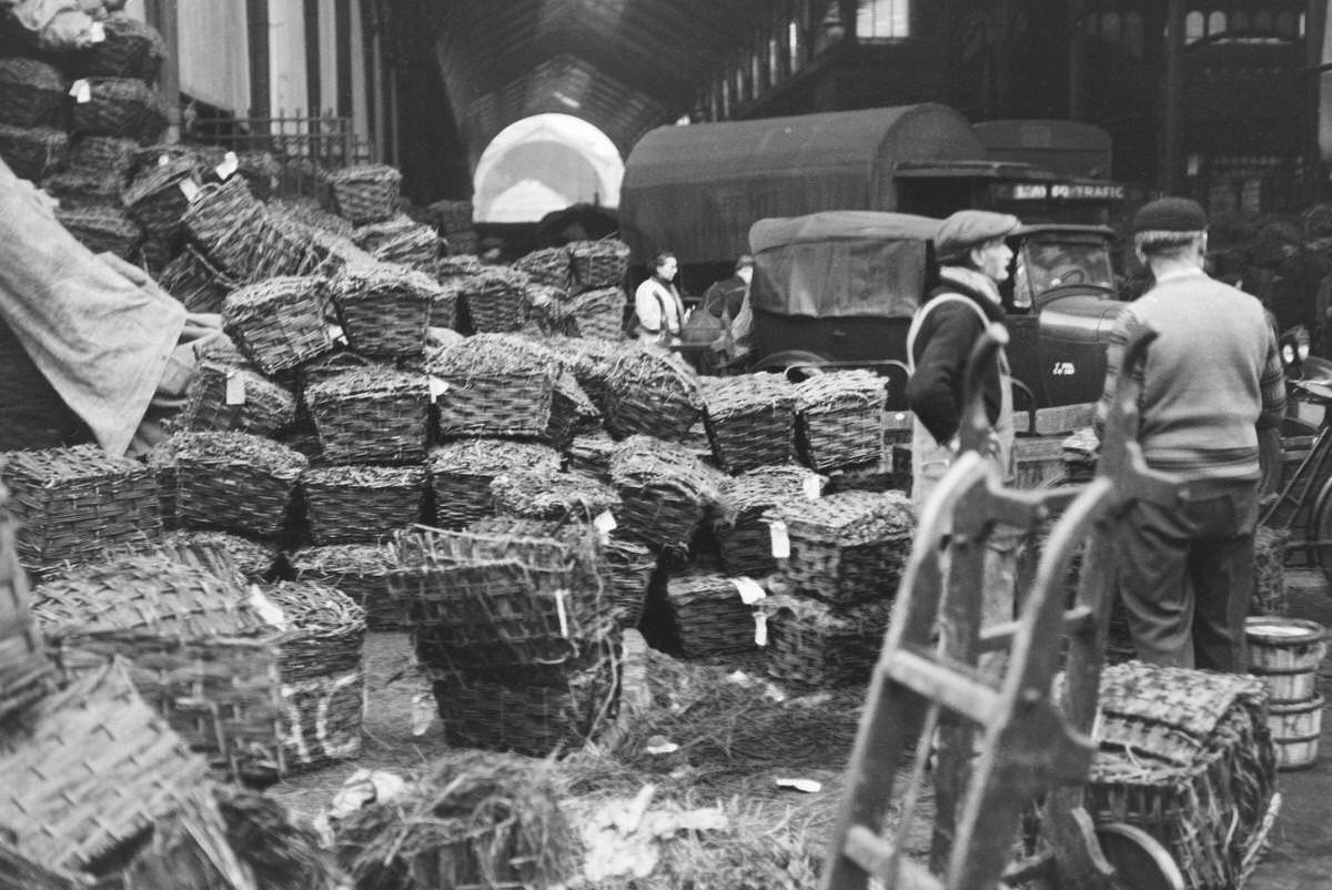 Arrival of oysters at the Les Halles market for the end of year celebrations, December 23, 1936