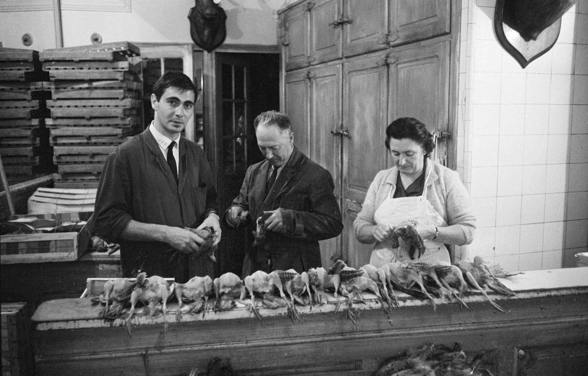 Halles employees pluck the first partridges slaughtered this season, in Paris, 1966