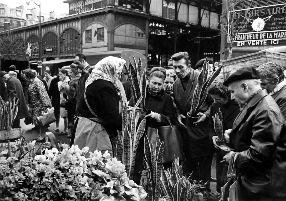 House plants stallholder outside Les Halles, historically the central market of Paris, 1969