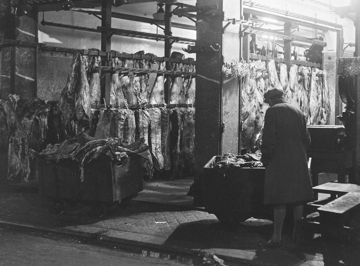 Butcher on the Halles market in Paris, 1936