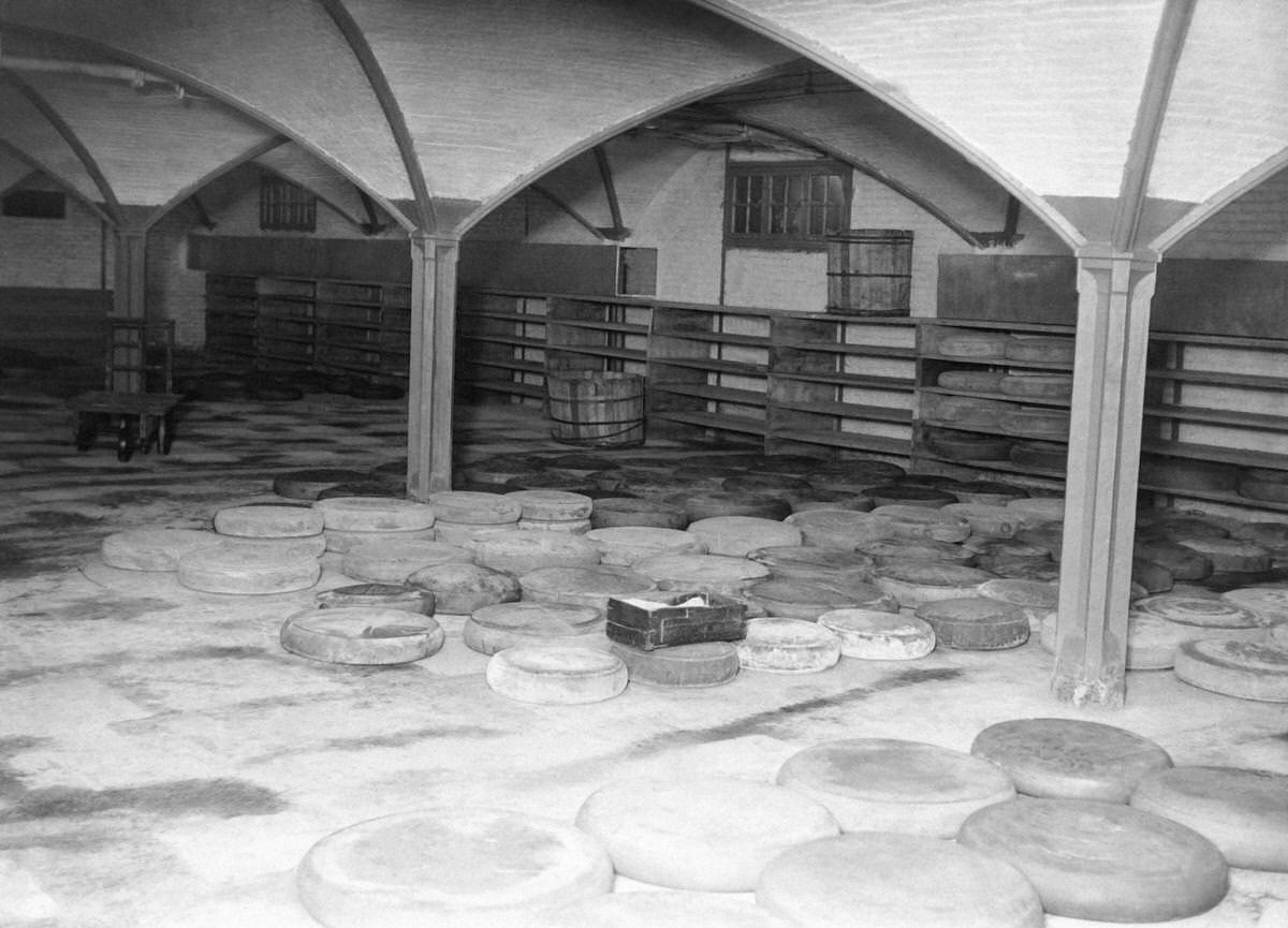 Inauguration of a room in the cellars of Les Halles for the conservation of cheeses, in Paris, 1930