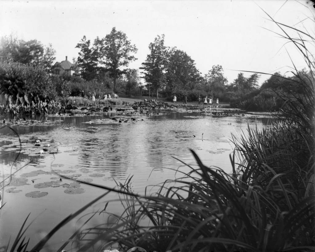 A large lily pond at Humboldt Park, Milwaukee, Wisconsin, August 28, 1898.