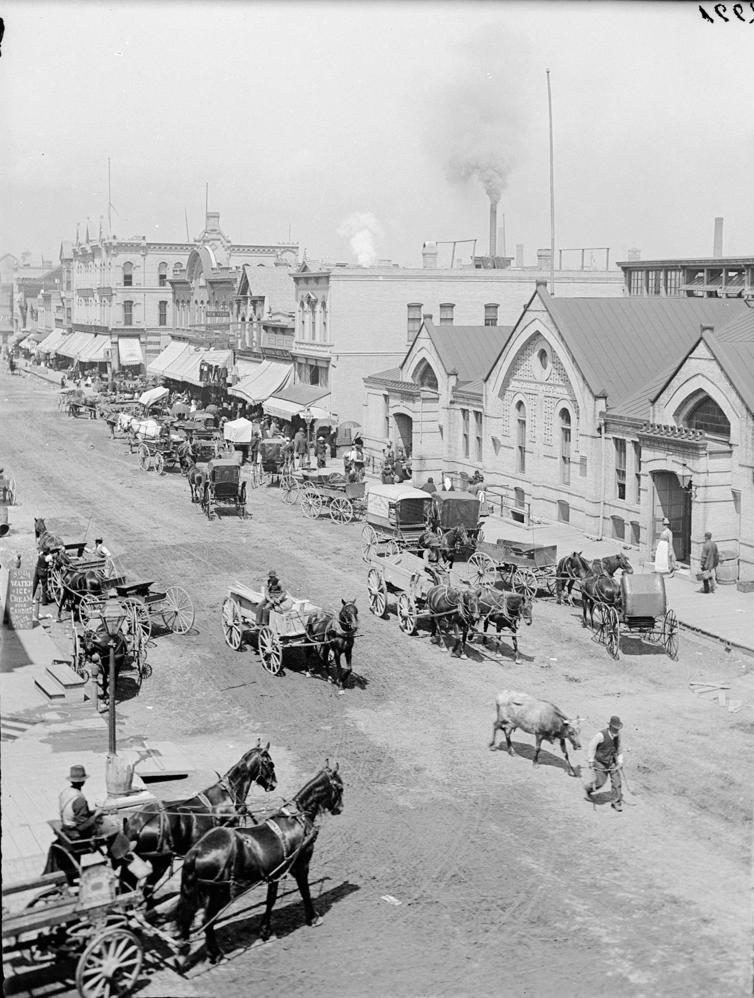 Farmer's market with horse-drawn vehicles and a man leading a bull, Milwaukee, Wisconsin, 1885.