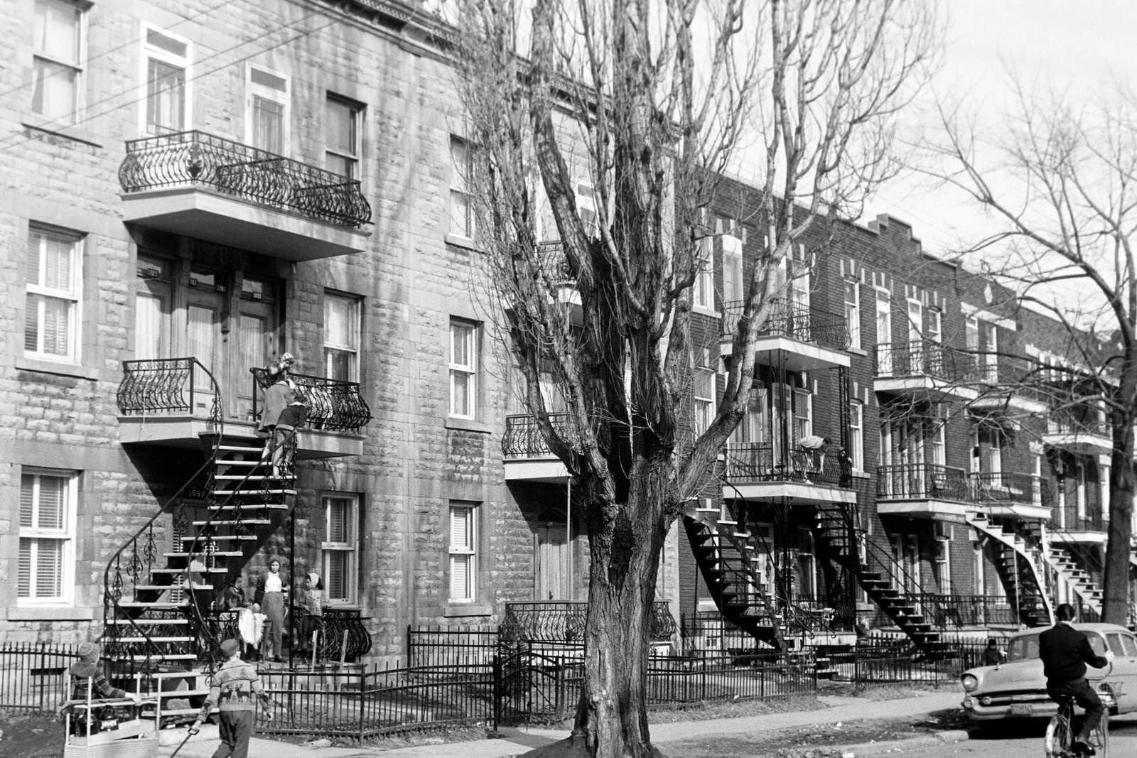 Plateau Mont-Royal, Montreal, 1962.