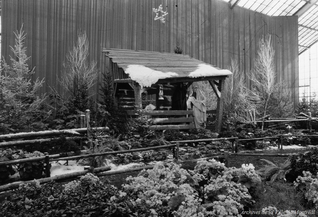 Nativity scene at the Botanical Garden, 1963