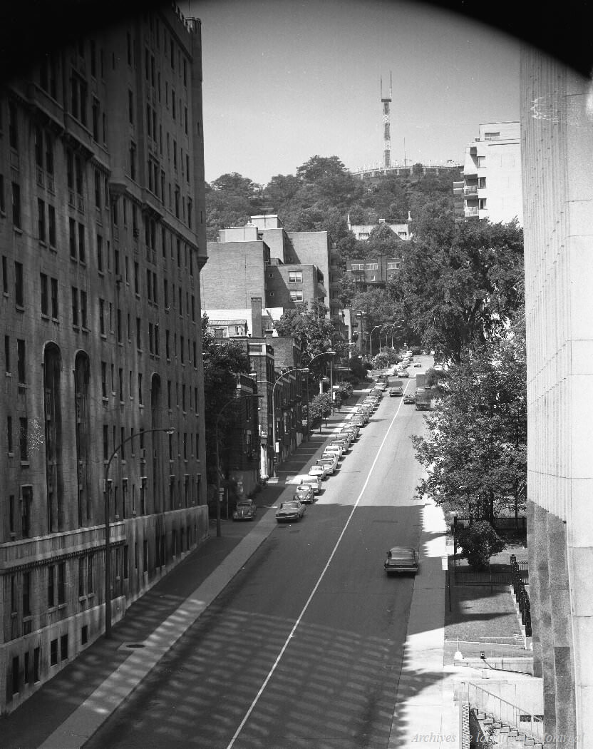 Rue de la Montagne, from the corner of rue Sherbrooke, 1966