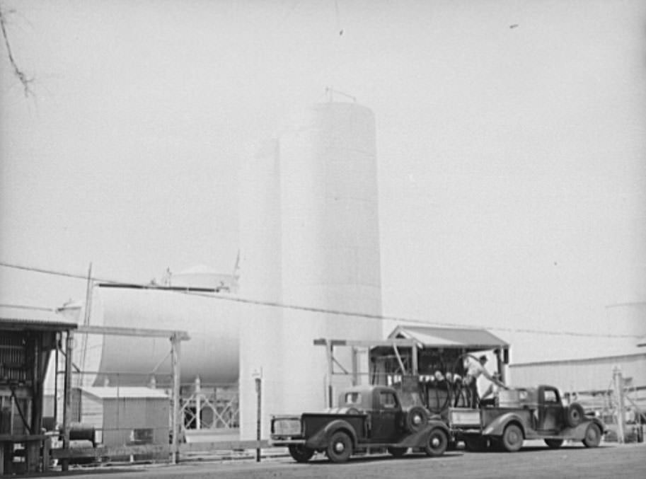 Gasoline is bought in tank car lots for sale to the members of the United Producers and Consumers Cooperative, Phoenix, Arizona, 1940