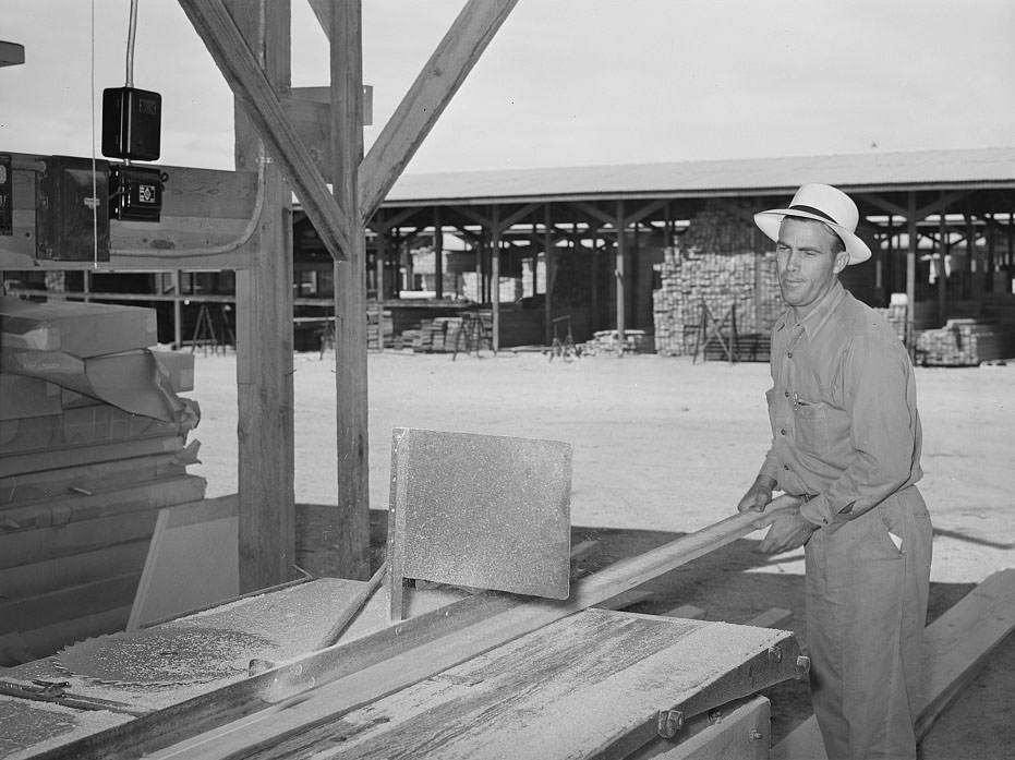 Lumber is sawed to size and order at the United Producers and Consumer Cooperative at Phoenix, Arizona, 1940