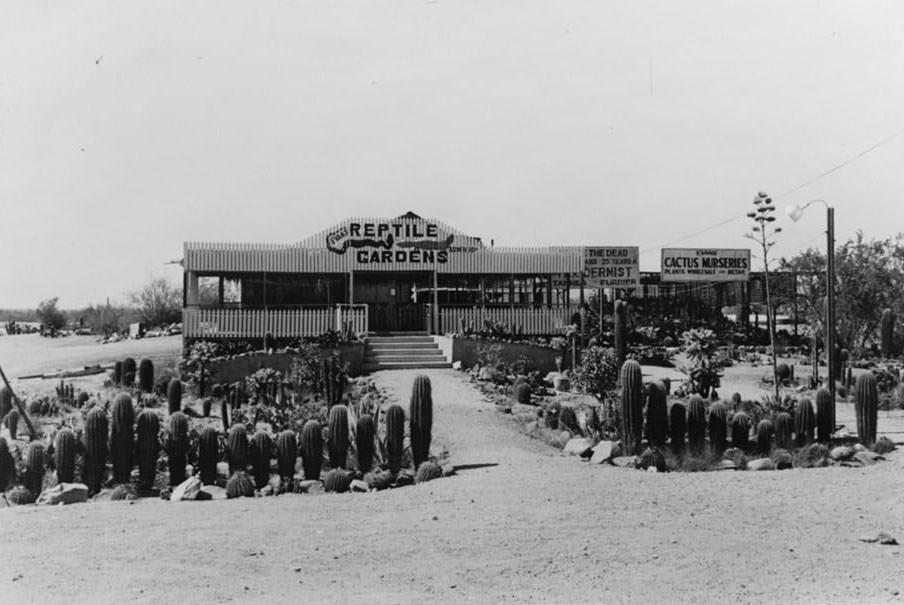 Tourist court sign, Phoenix, Arizona, 1940