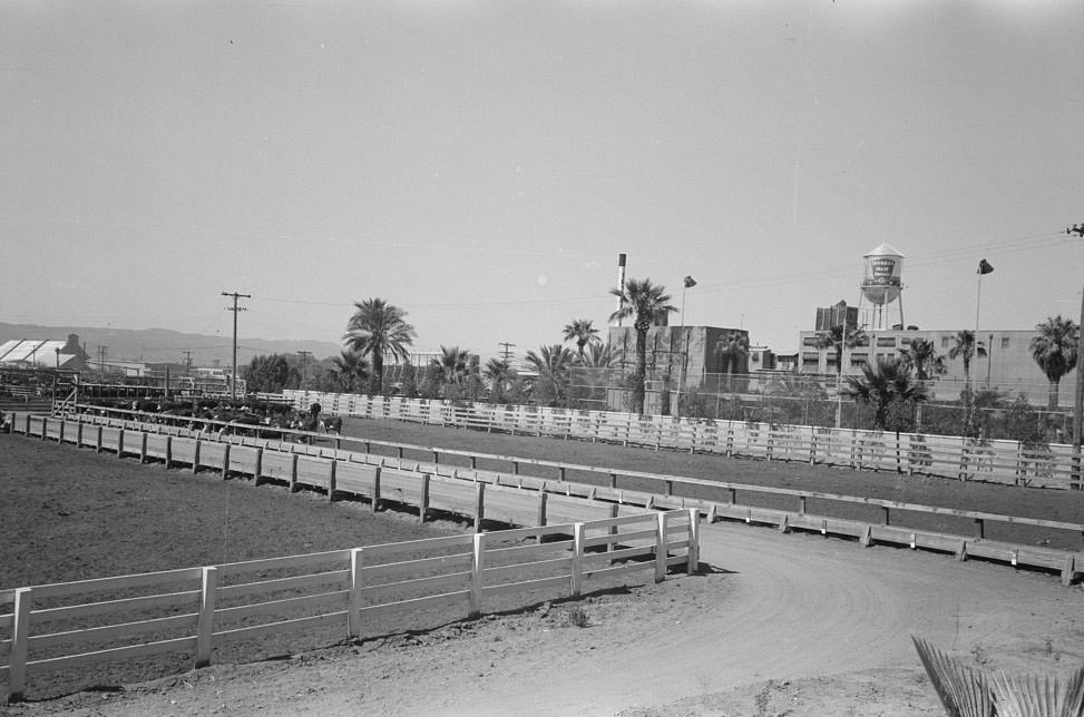 View of large packing plant and adjacent pens, Phoenix, Arizona, 1940