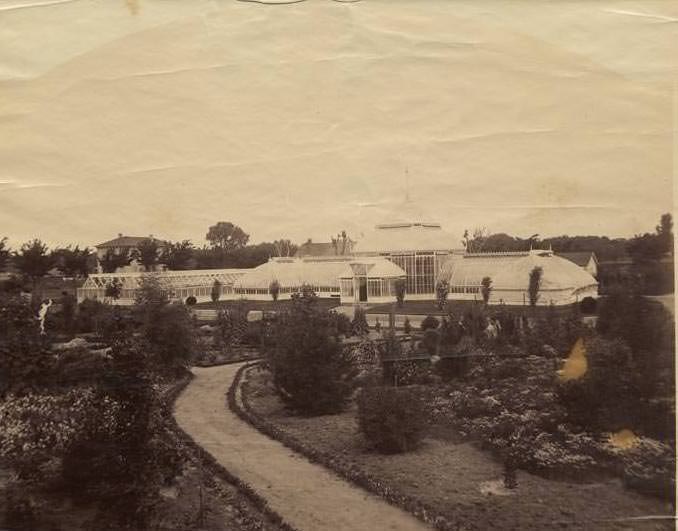 View of the Bell gardens and greenhouses at 10th and Y Streets (Broadway); curved path in foreground, house in distance at left, 1885