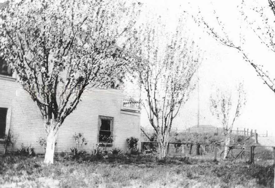 Exterior view of a house in an unidentified rurual location with fruit trees in bloom, 1881