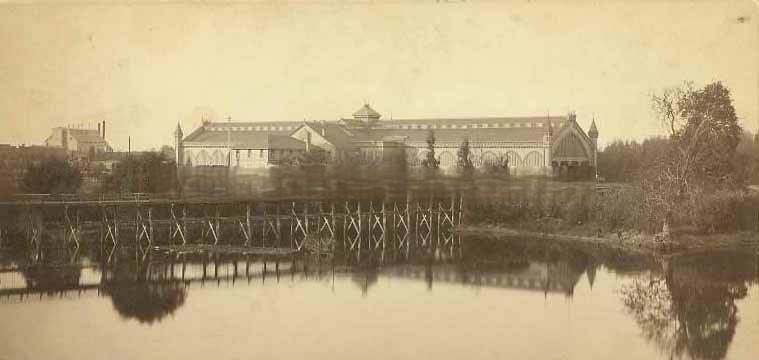 View of the Central Pacific (Southern Pacific) depot next to China Slough (Sutter Lake), 1882