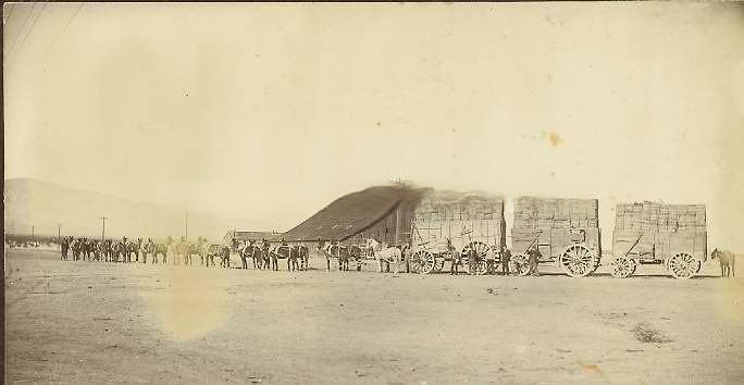 View of the 20 Mule Borax Team No. 2 of the San Bernardino Borax Mfg. Co. in Mojave, 1880